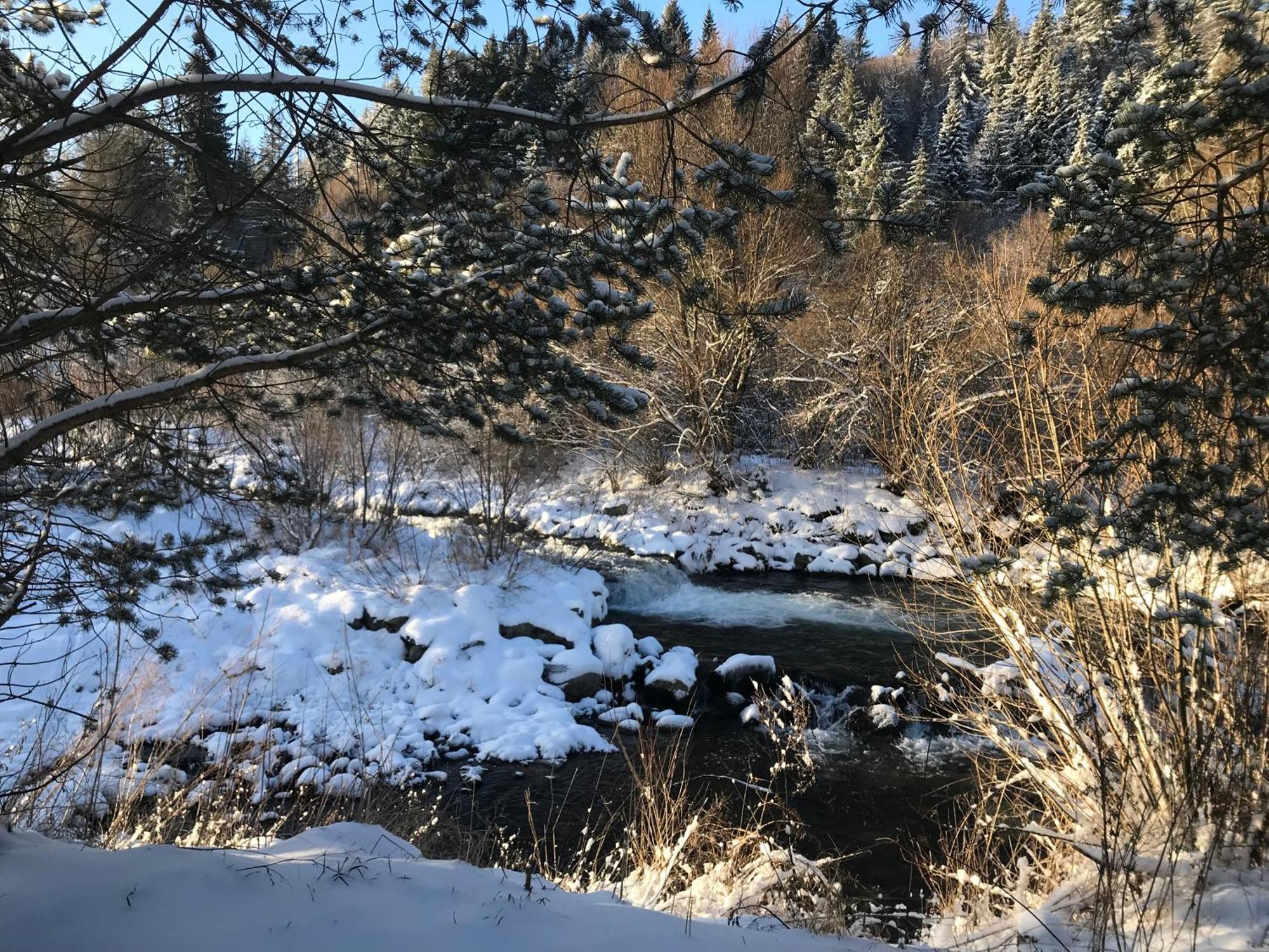 Riverside Habovka Eksteriør billede